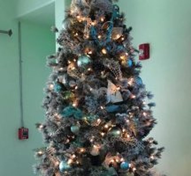 Christmas tree at the house